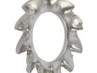 1184040 Screws & Fasteners