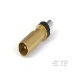 Stock Image