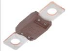 MEGAVAL 500A  Circuit Protection