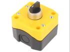 B1-RS-2O YELLOW/BLACK electronic component of Auspicious