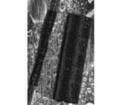 121397P021 Heat Shrink Tubing and Sleeves