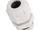4917 Cable Glands, Strain Reliefs & Cord Grips