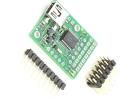 MICRO MAESTRO 6-CHANNEL Motor/Motion/Ignition Controllers & Drivers