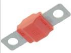 MIDIVAL 30A  Circuit Protection