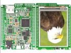 MIKROMEDIA FOR DSPIC33  Embedded Solutions