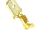 BM 02180 Terminals