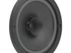 31065 Speakers & Transducers