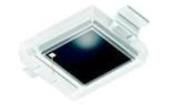 BPW 34 BS-Z  Optoelectronics