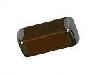SC1808KKX7RWBB102  Passive Components