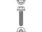 1541005 Screws & Fasteners