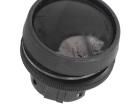76-9116/439088 Pushbutton Switches