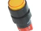 V16Y-11Z-24O Pushbutton Switches
