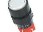 V16Y-11Z-24W Pushbutton Switches