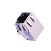 13F-00GYDP2NL Modular Connectors / Ethernet Connectors