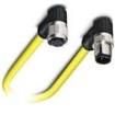 1424981  Wire & Cable
