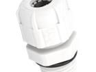 4007 Cable Glands, Strain Reliefs & Cord Grips