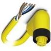 1416629  Wire & Cable