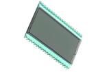 DE 113-RS-20/12,2/M LCD Numeric Display Modules