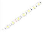 LFBML-SW827-24V-6S167-20  Optoelectronics