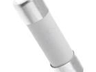441025 Cartridge Fuses
