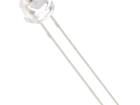 WW05G3SBQ4-W Standard LEDs - Through Hole