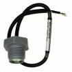 LM31-00000F-001PG Industrial Pressure Sensors