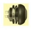 DPW1CGK Pushbutton Switches
