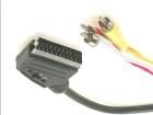 50365  Wire & Cable