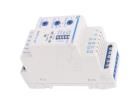 RNPP-311M General Purpose Relays