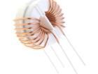 DTS-25/1.0/5.0-VCAP Fixed Inductors