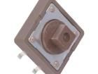 DTSM-24N-V-T Tactile Switches