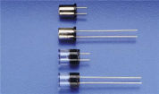 0273.100V electronic component of Littelfuse