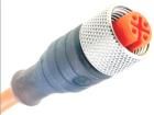 11363 RKT 4-3-06/2 M  Wire & Cable