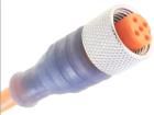 11381 RKT 5-56/2 M  Wire & Cable