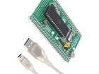 MIKROBOARD FOR 8051 40-PIN AT89S8253 Development Boards & Kits - Other Processors