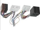 59570  Car Audio