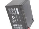 NBC 15-12L Sealed Lead Acid Battery