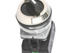 NEF30-TPASXY Pushbutton Switches