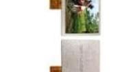 NHD-7.0-800480EF-ASXN# TFT Displays & Accessories