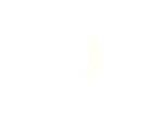 NIPPEL TO220 Thermal Interface Products