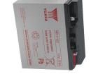 NP17-12I Sealed Lead Acid Battery