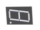 OPD-S10020YG-BW LED Displays & Accessories