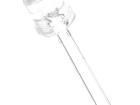 OS5RPM82E1A Standard LEDs - Through Hole