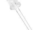 OS5YPM8131A Standard LEDs - Through Hole