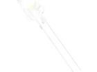 OSM54L5111P Standard LEDs - Through Hole