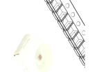 OSR7CAS1C1A LED Replacement Lamps - Based LEDs