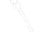 OSW5DK5A31A-12V Standard LEDs - Through Hole