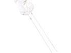 OSY5PA5111A-CRLED16 Standard LEDs - Through Hole