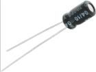 SS016M0022B1F-0407  Passive Components