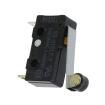 SS-01GL2-2 Basic / Snap Action Switches